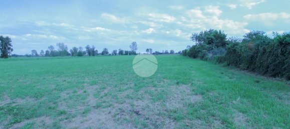 Terreno en Quintano, Italy 10000 m² No. 286617 6