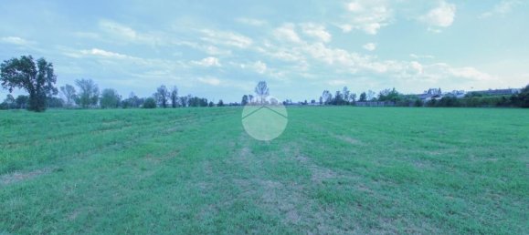 Terreno en Quintano, Italy 10000 m² No. 286617 3