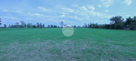 Terreno en Quintano, Italy 10000 m² No. 286617 4