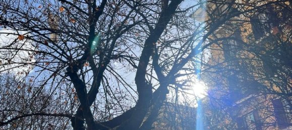 Gewerbliche Immobilie in Rome, Italy 30m², Nr. 172242 5