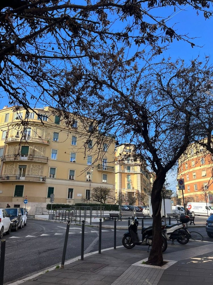 Gewerbliche Immobilie in Rome, Italy 30m², Nr. 172242