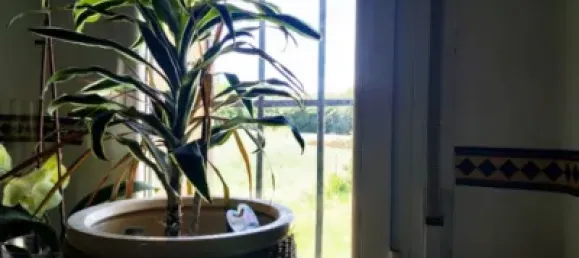 5 chambres Maison à Aguilar de Campoo, Spain No. 109576 32