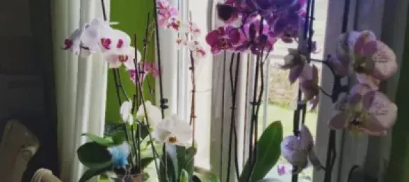 5 chambres Maison à Aguilar de Campoo, Spain No. 109576 9