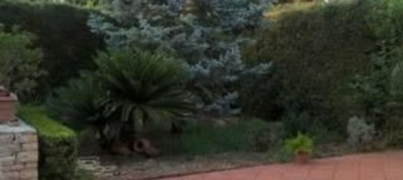 3 rooms Villa in Toritto, Italy No. 256884 13