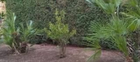 3 rooms Villa in Toritto, Italy No. 256884 12