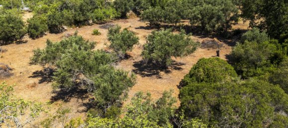 Grundstück in Loule, Portugal 450m², Nr. 197309 8