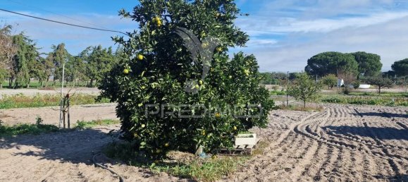 7 bedrooms Castles in Grandola, Portugal No. 88456 34