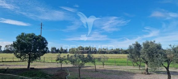 7 bedrooms Castles in Grandola, Portugal No. 88456 24