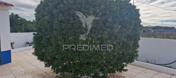 7 bedrooms Castles in Grandola, Portugal No. 88456 3