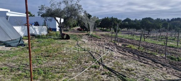 7 bedrooms Castles in Grandola, Portugal No. 88456 27