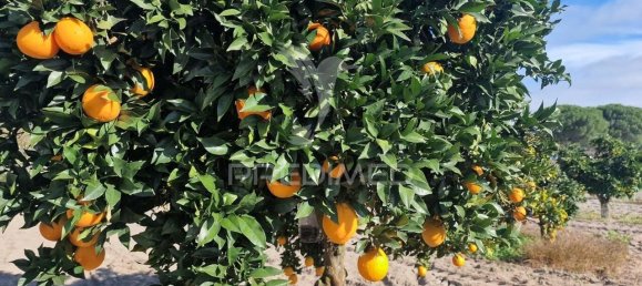 7 bedrooms Castles in Grandola, Portugal No. 88456 33