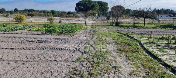 7 bedrooms Castles in Grandola, Portugal No. 88456 35