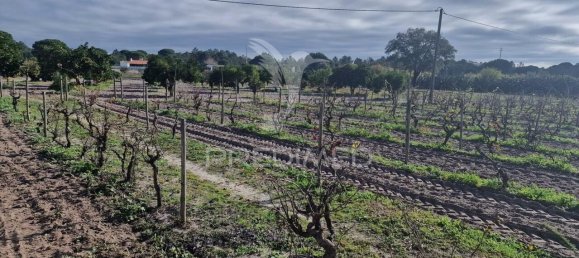 7 bedrooms Castles in Grandola, Portugal No. 88456 26