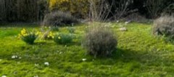 548m² Land in Quincy-Voisins, France No. 121202 2