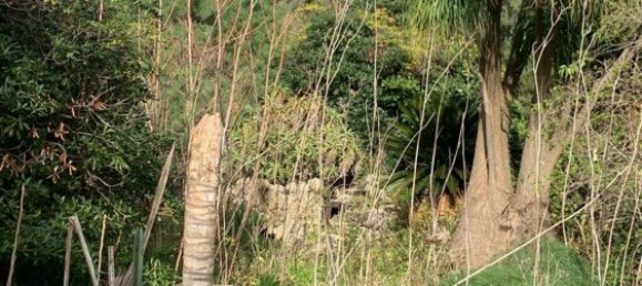  قطعة أرض في Messina, Italy رقم 372154 7