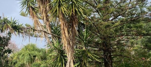  قطعة أرض في Messina, Italy رقم 372154 8