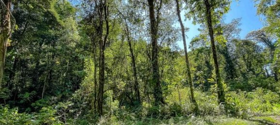 Земельный участок в Пунтаренас, Коста-Рика № 1705 6