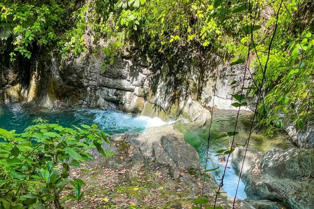 Земельный участок в Пунтаренас, Коста-Рика № 1705