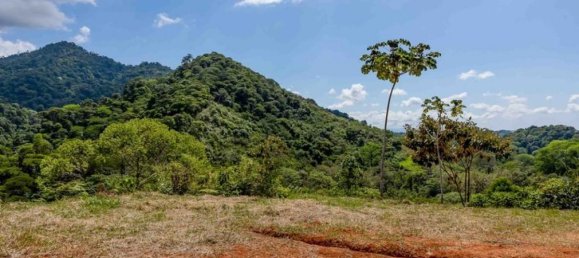 Земельный участок в Пунтаренас, Коста-Рика № 1705 4