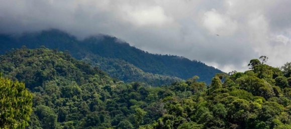 Земельный участок в Пунтаренас, Коста-Рика № 1705 5