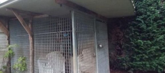 4-salle Villa à Corbetta, Italy No. 285257 19