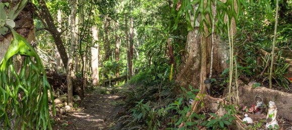 4 bedrooms House in Nunderi, Australia No. 531 30