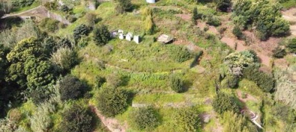 Grundstück in Santa Cruz, Portugal, Nr. 278653 6