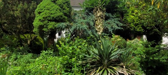 6 bedrooms Townhouse in Soest, Germany No. 210184 35