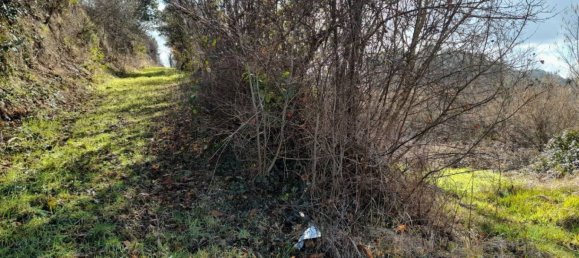 5949m² Land in Acquapendente, Italy No. 318400 19