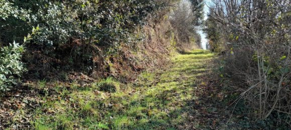 5949m² Land in Acquapendente, Italy No. 318400 15