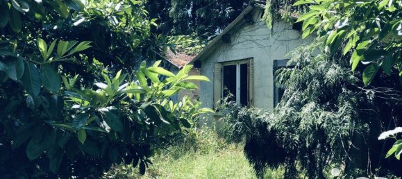 5 Schlafzimmer Haus in Cuts, France, Nr. 222213 18