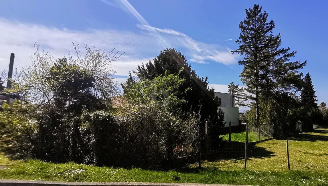  Land in Mannersdorf am Leithagebirge, Austria No. 259912