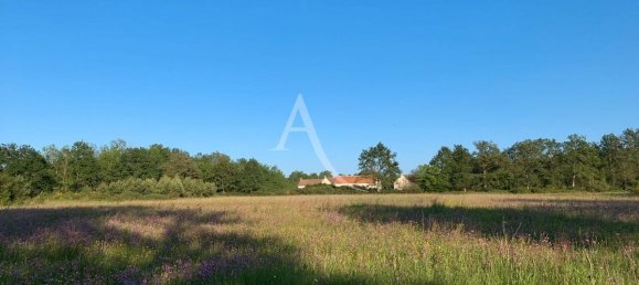 3 غرف نوم قلاع في Theillay, France رقم 254519 12