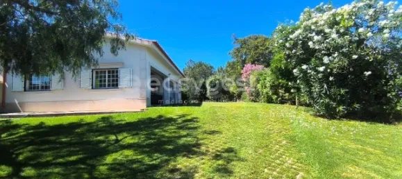 4 bedrooms House in Ferreira do Zezere, Portugal No. 140657 19