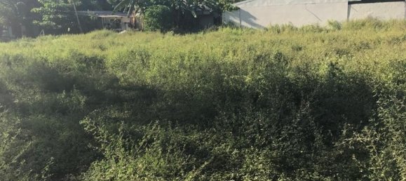 Land in Puerto Carrillo, Costa Rica No. 1725 6