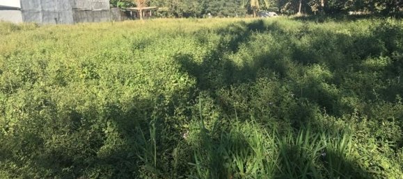 Land in Puerto Carrillo, Costa Rica No. 1725 4