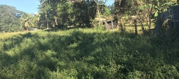 Land in Puerto Carrillo, Costa Rica No. 1725 3