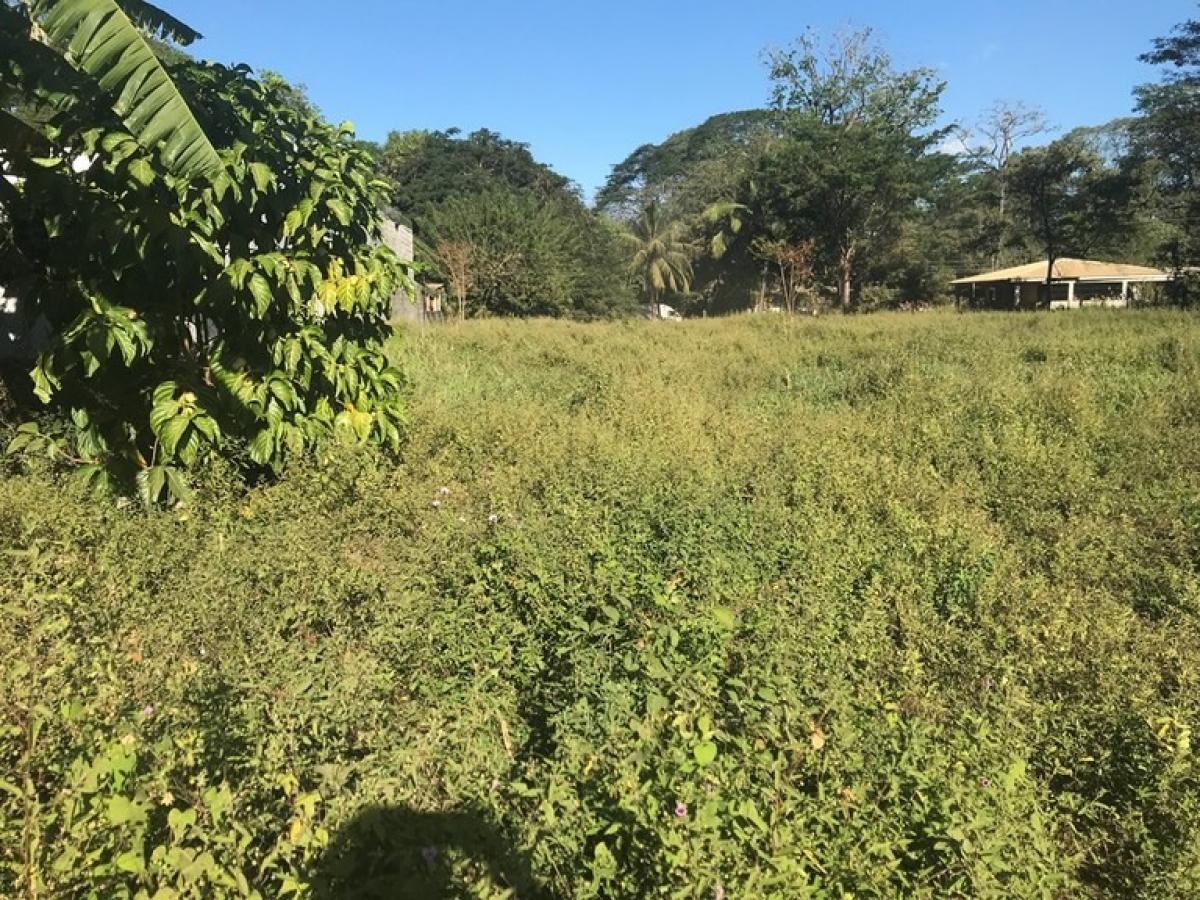  Land in Puerto Carrillo, Costa Rica No. 1725