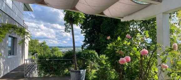 8 rooms Villa in Rottal-Inn, Germany No. 173179 3