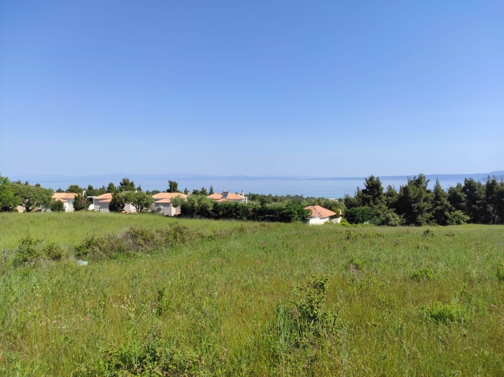 4218m² Hotel in Chalkidiki, Greece No. 4161