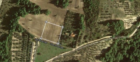 4218m² Hotel in Chalkidiki, Greece No. 4161 4