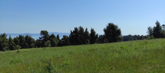 4218m² Hotel in Chalkidiki, Greece No. 4161 2