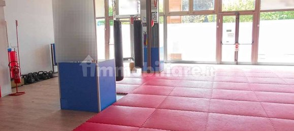 5 rooms Commercial property in Siena, Italy No. 45941 7