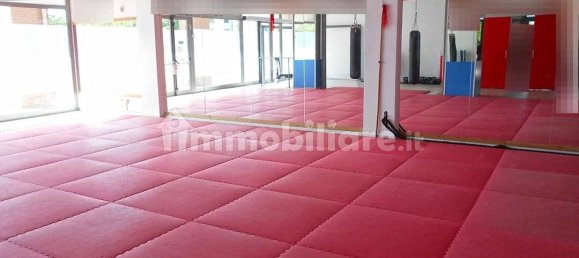 5 rooms Commercial property in Siena, Italy No. 45941 15