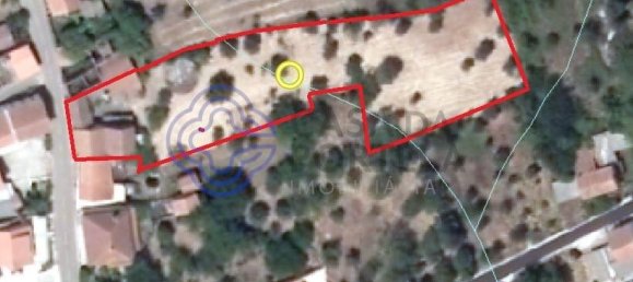 Casa de 2 dormitorios en Ferreira do Zezere, Portugal No. 14478 30