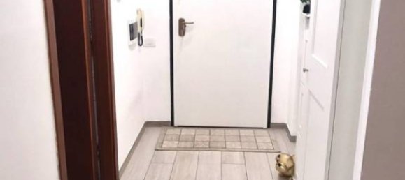 Apartamento T2 em Collesalvetti, Italy N.º 47936 7