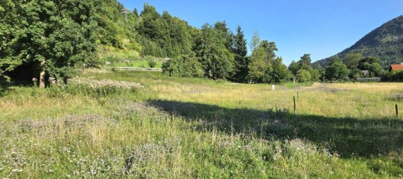 Terrain à Deutschfeistritz, Austria No. 219166 6