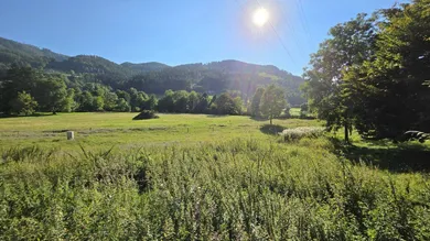 Terrain à Deutschfeistritz, Austria No. 219166