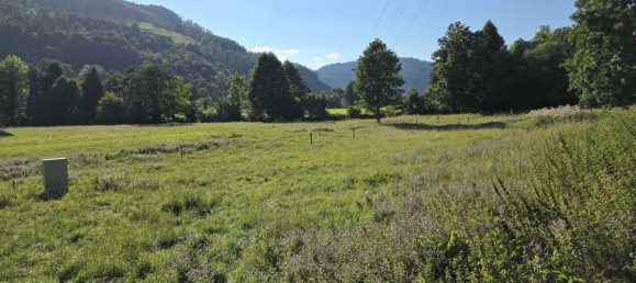 Terrain à Deutschfeistritz, Austria No. 219166 13