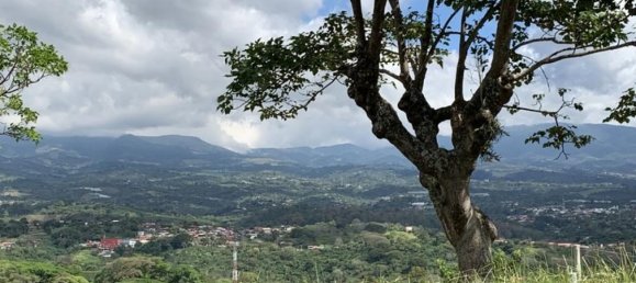 terrain à vendre à Naranjo, Alajuela, Costa Rica № 1703 4